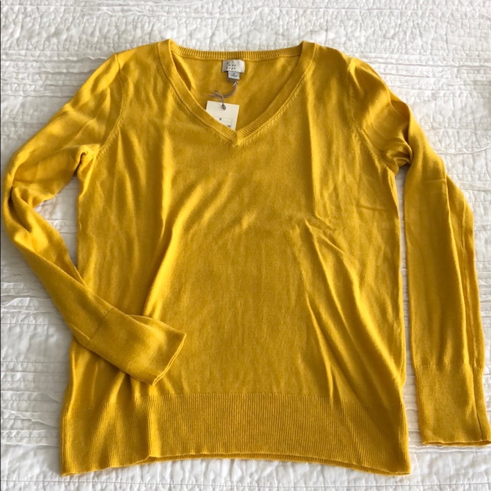 v neck sweater - NWT